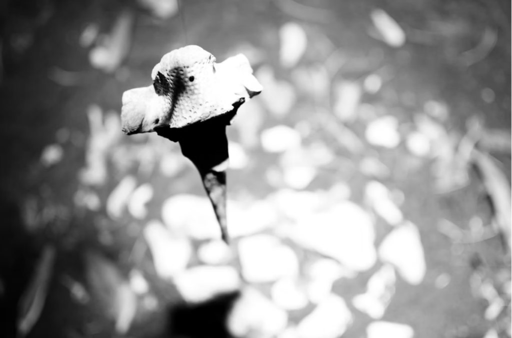 Photographie reportage Robin Beumier Vernissage expo contemporaine