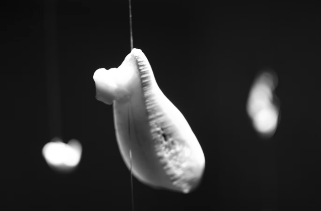 Photographie reportage Robin Beumier Vernissage expo contemporaine