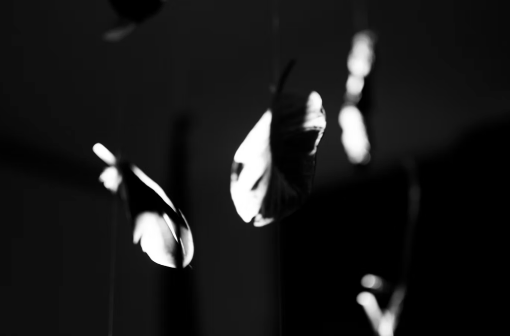 Photographie reportage Robin Beumier Vernissage expo contemporaine